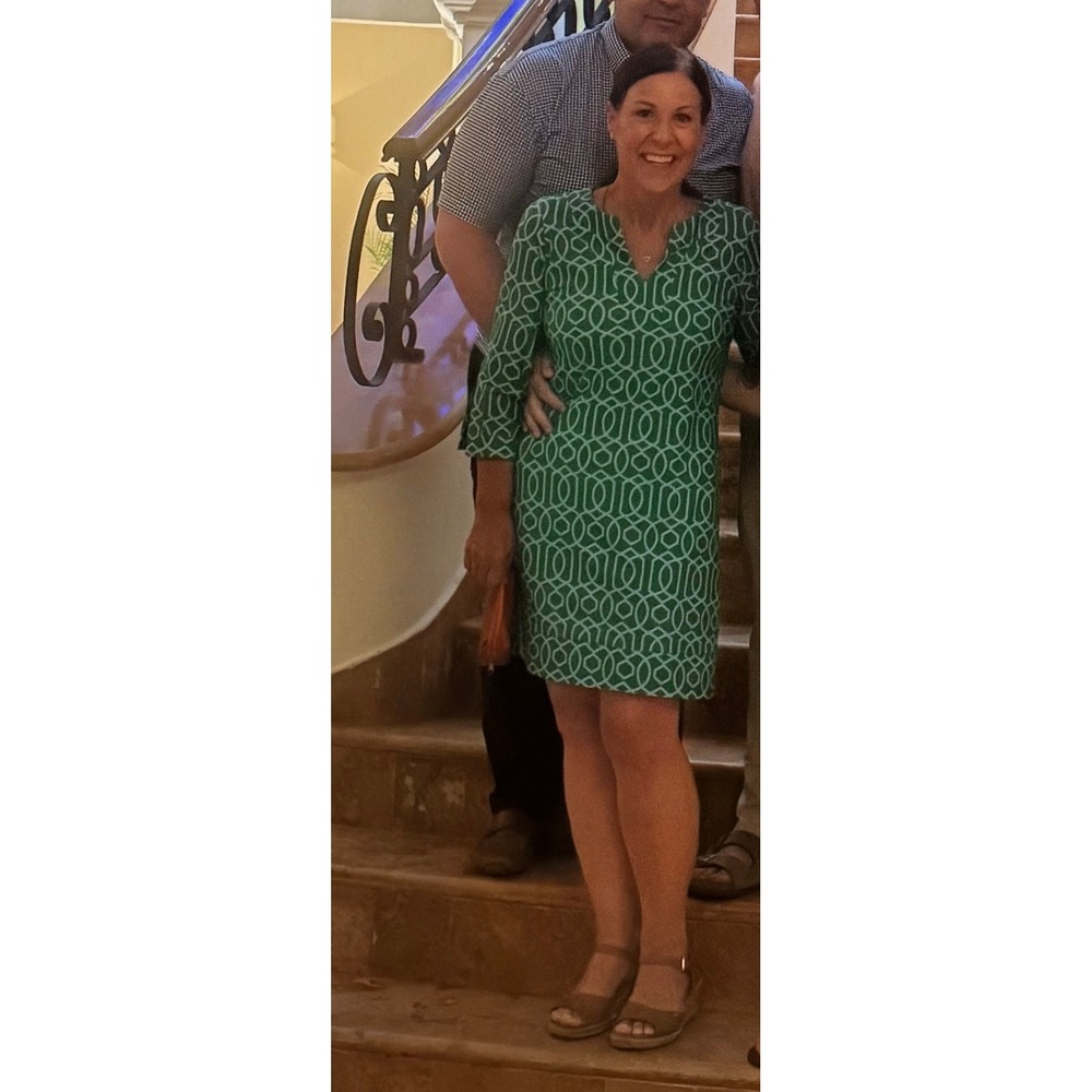 Jude Connally Megan Dress Medium.Green Blue Geometric Trellis Split Neck Shift